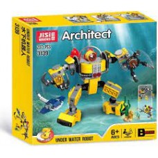 architect