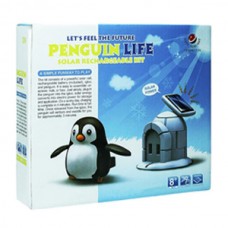 penguin life