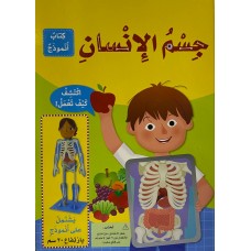جسم الإنسان